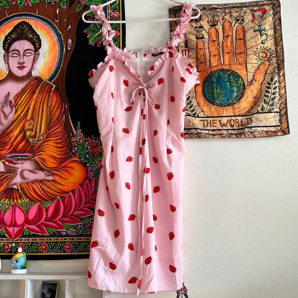Strawberry light pink shein dress.